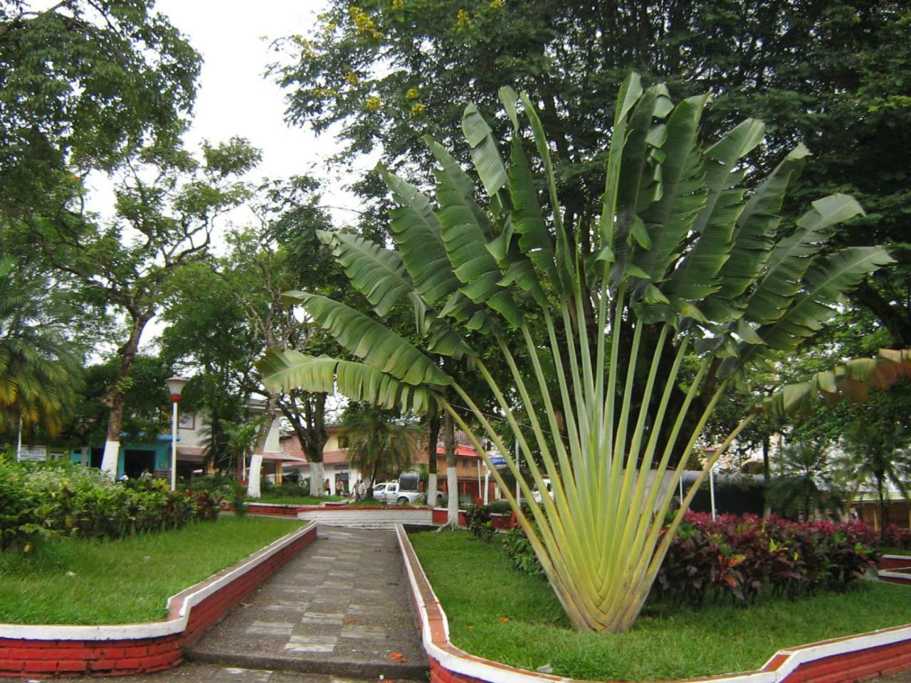 Norcasia Hotel Casa Trujillo المظهر الخارجي الصورة